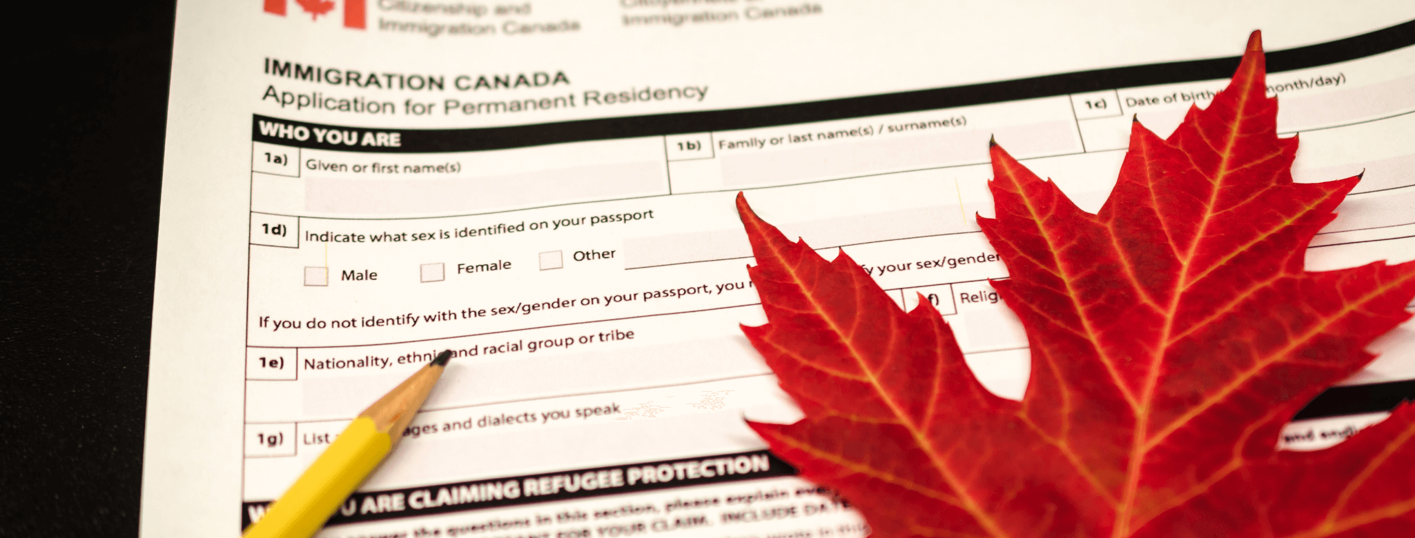 services-mc-law-llp